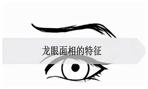 龍眼 面相|龙眼面相图解